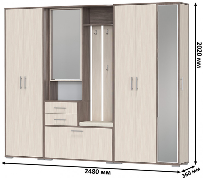 Прихожая Домино 6, цвет бодега тёмный/бодега светлый, ШхГхВ 248х36х202 см., универсальная сборка