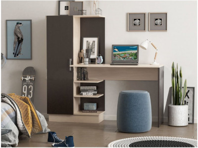 Компьютерный стол №1 (Дуб беленый / Венге)