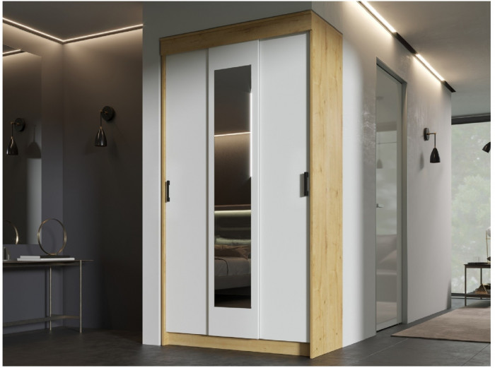 Эко Шкаф-купе (Венге / лоредо)