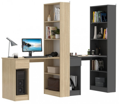 Два Стола письменных Лайт 10.01, цвет плэйн/тёмно-серый, ШхГхВ 230,6х58,2х179 см., универсальная сборка(обязательно крепление к стене)