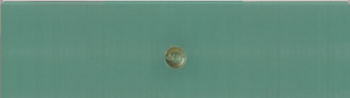 Ф-167 Модена (ШНД 450) МДФ дуб бирюза