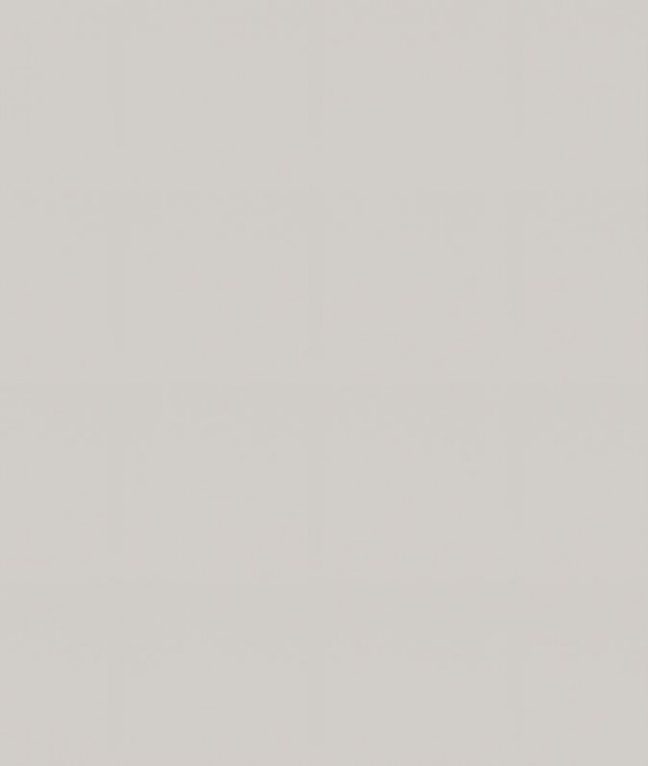 Ф-83 Альфа (ШВГ 500) МДФ холст белый